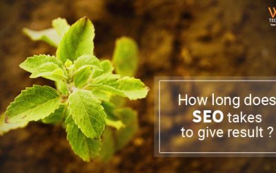 How long does SEO takes to give results